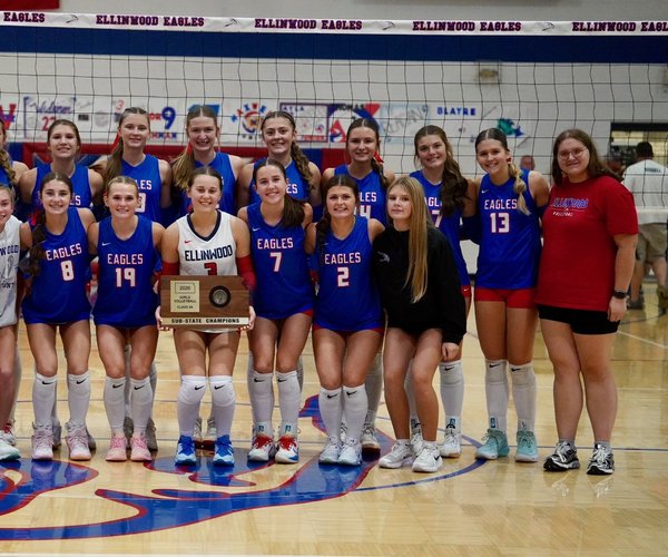 ehs state vball