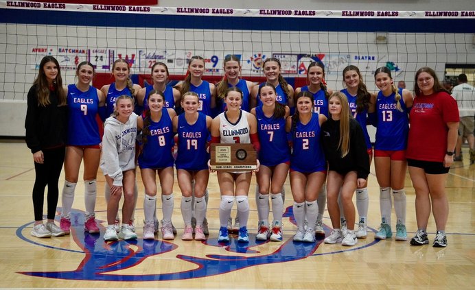 ehs state vball