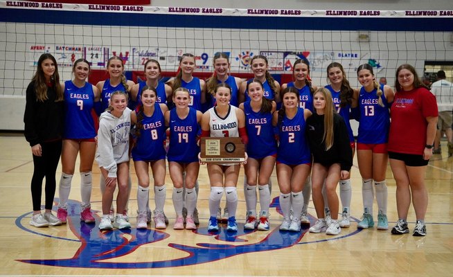 ehs state vball