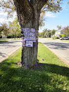 fcc purple tree