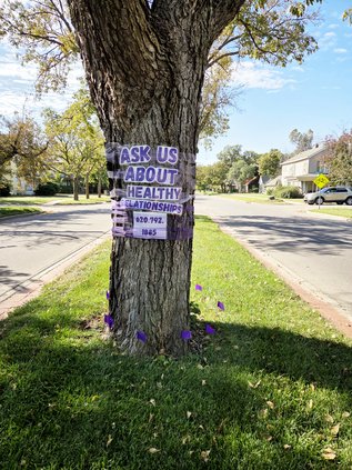 fcc purple tree