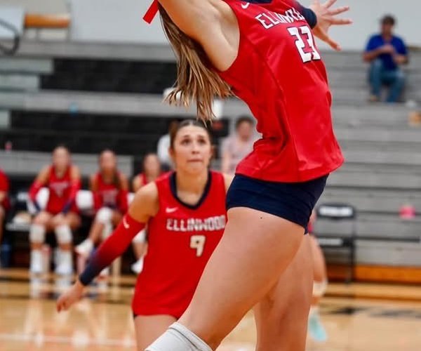 Brynn Widener
