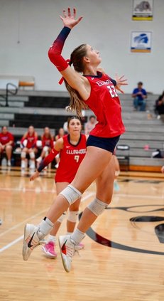 Brynn Widener
